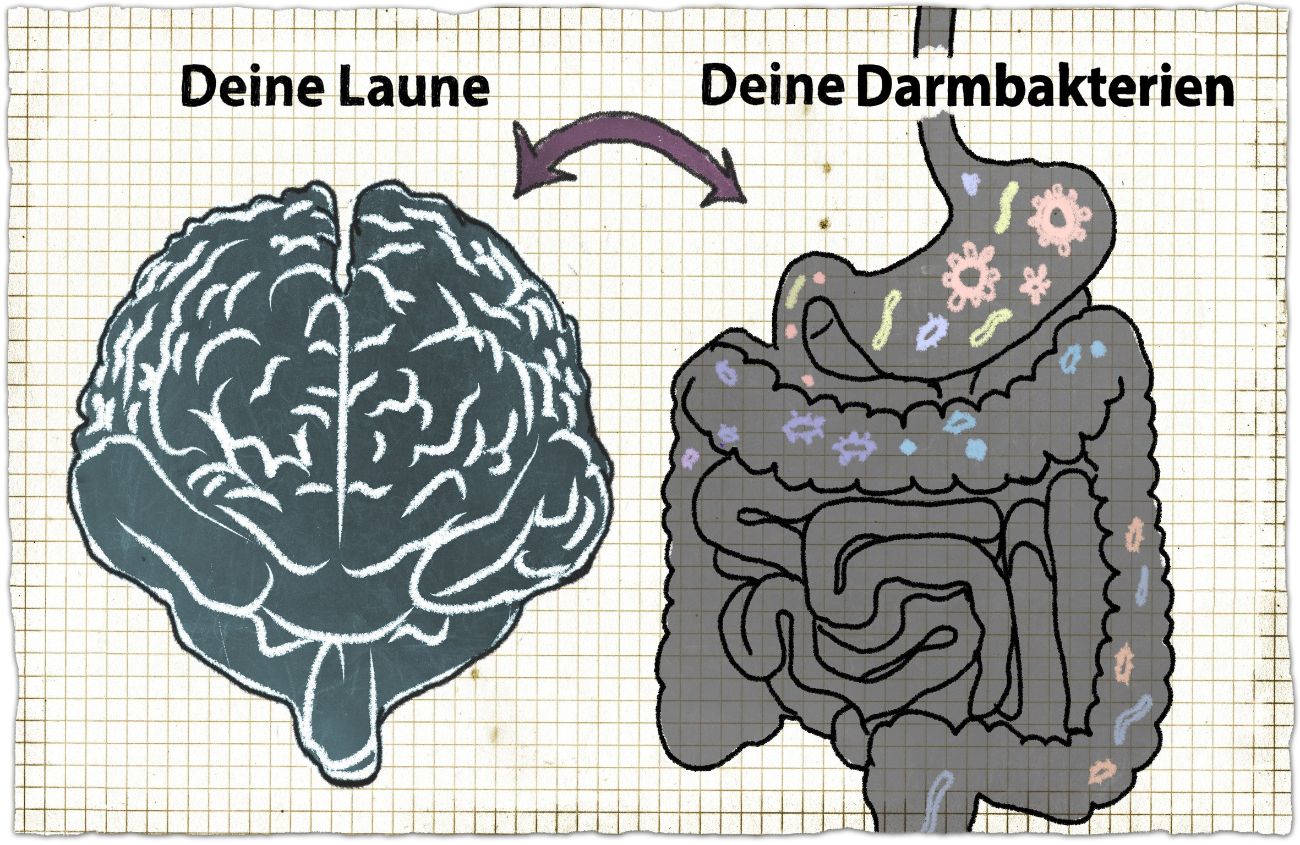 Zeichnung über Laune und Darm