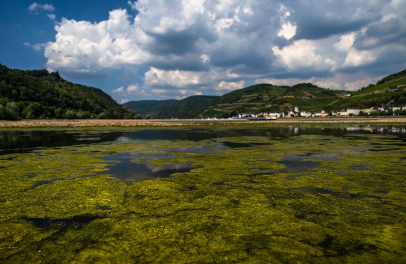 Durchfall nach Baden, ein See voller Blaualgen