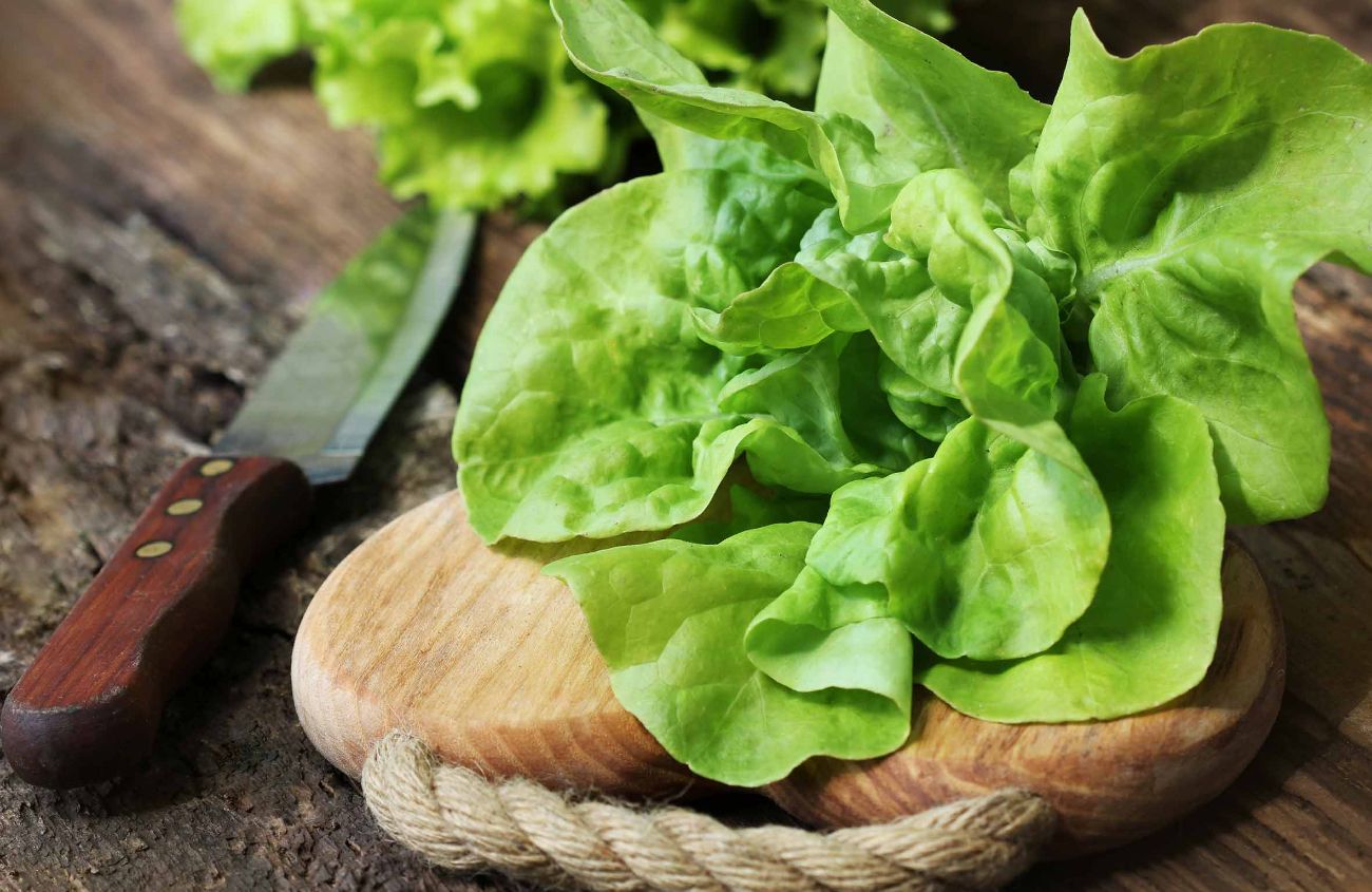 Durchfall nach Salat, Blattsalat auf einem Brett