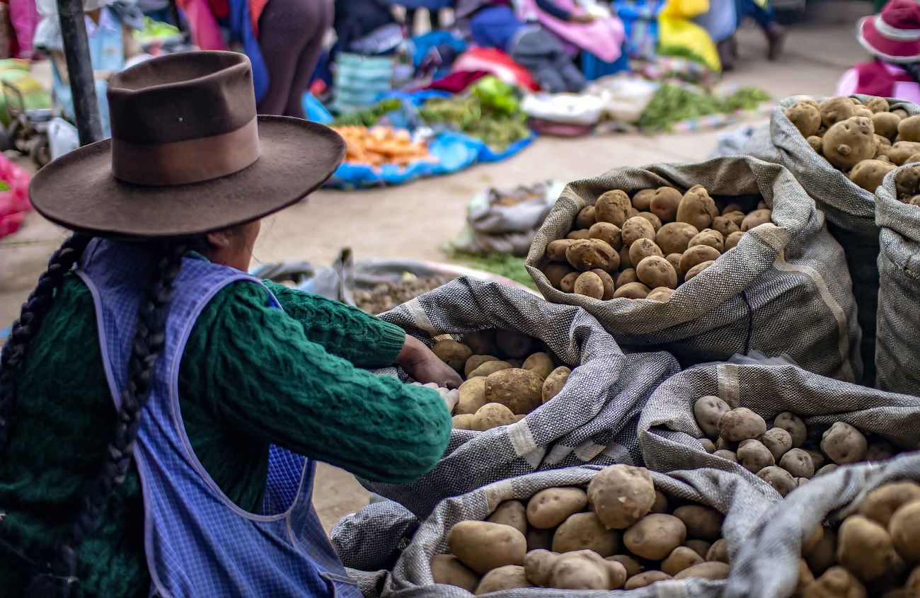 Kartoffel-Unverträglichkeit, mehrere Säcke Kartoffeln auf einem Markt