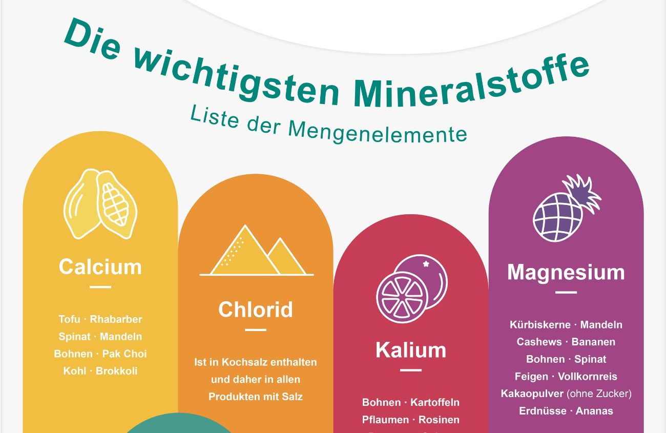 Übersicht über die wichtigsten Mineralstoffe und deren Vorkommnis in pflanzlichen Lebensmitteln