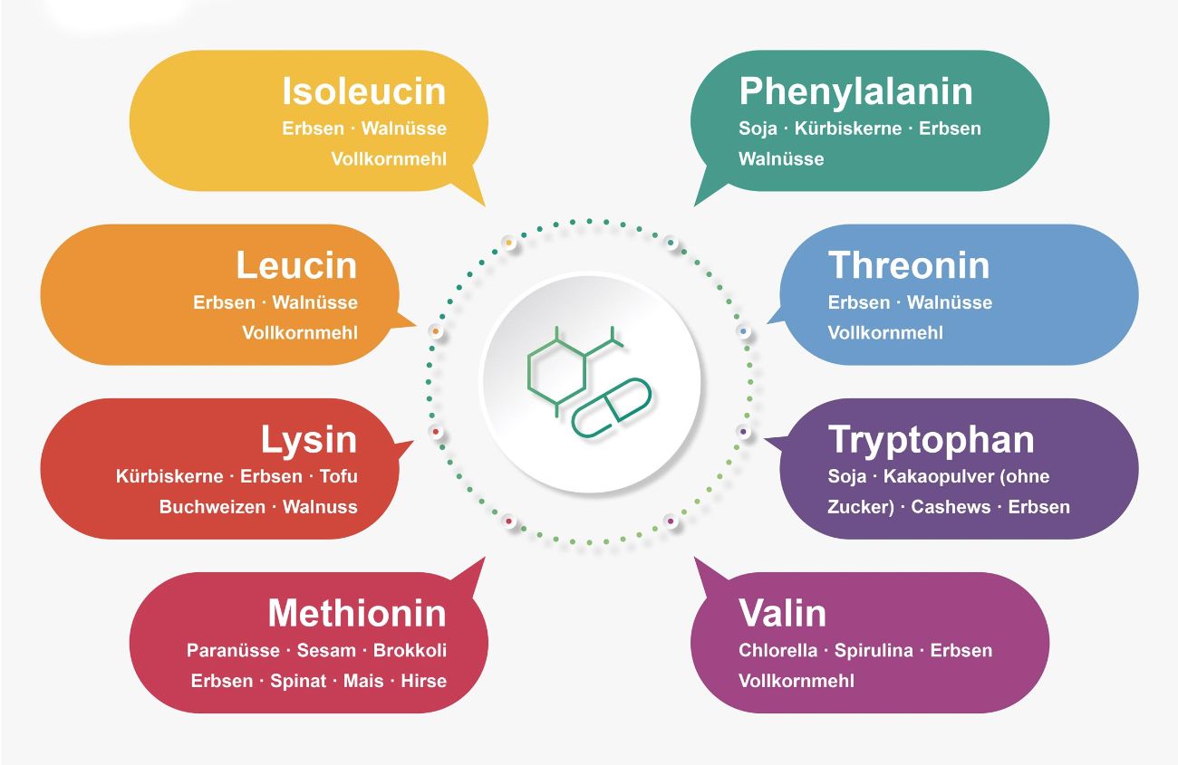 Übersicht über die 8 essentiellen Aminosäuren und deren Vorkommnis in pflanzlichen Lebensmitteln
