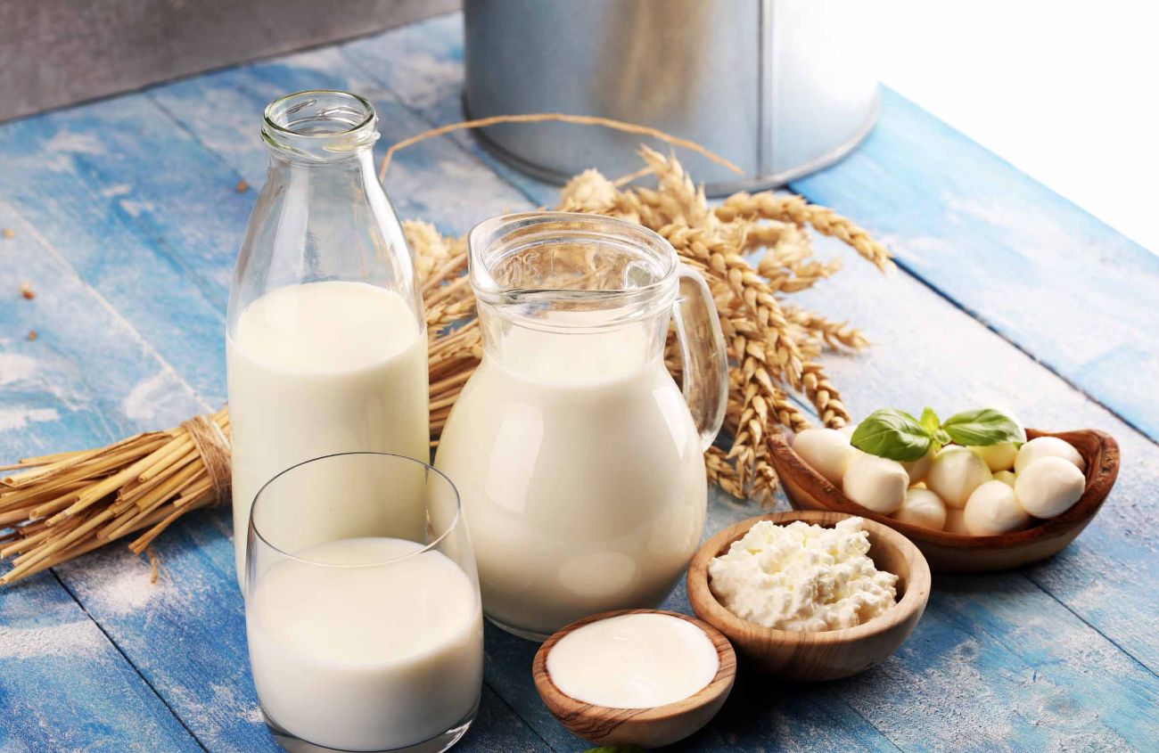 Diverse Milchprodukte und Käse auf einem Tisch