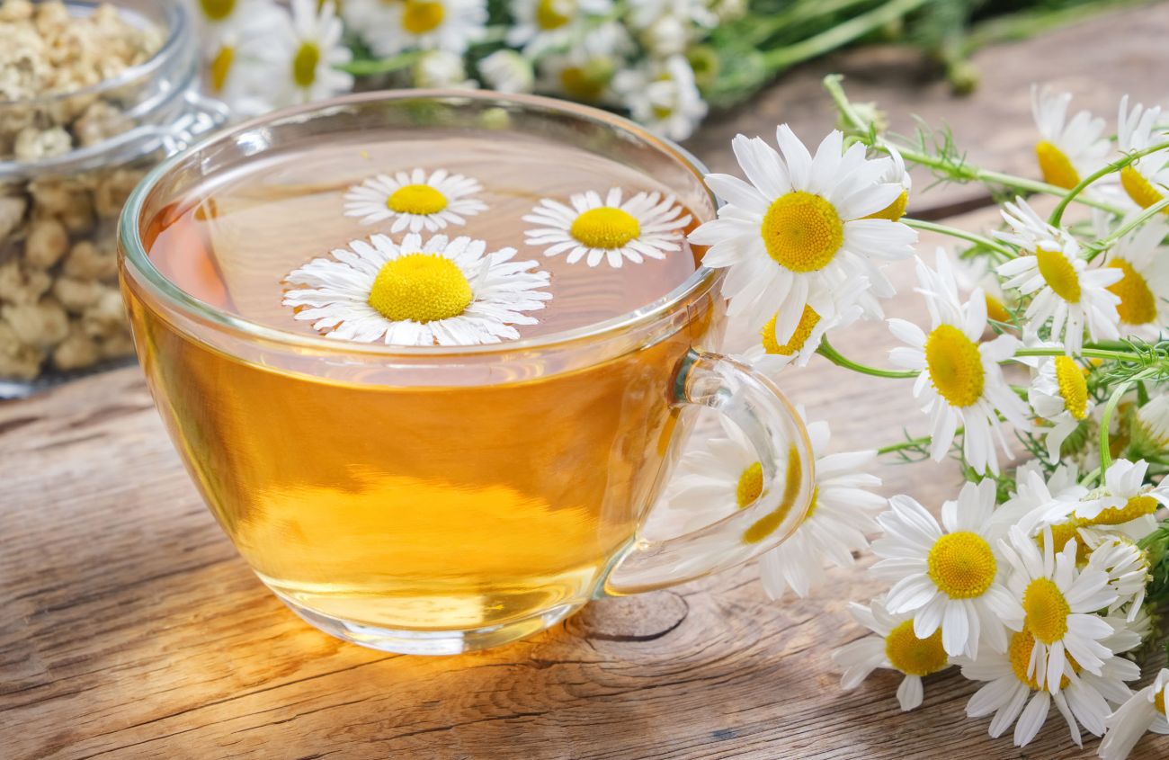 Glastasse mit Kamillentee und Kamillenblüten.