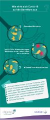 Der Einfluss von Corona auf Magen und Darm (Infografik)