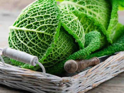 Blähungen nach Wirsing, Wirsing in einem Körbchen