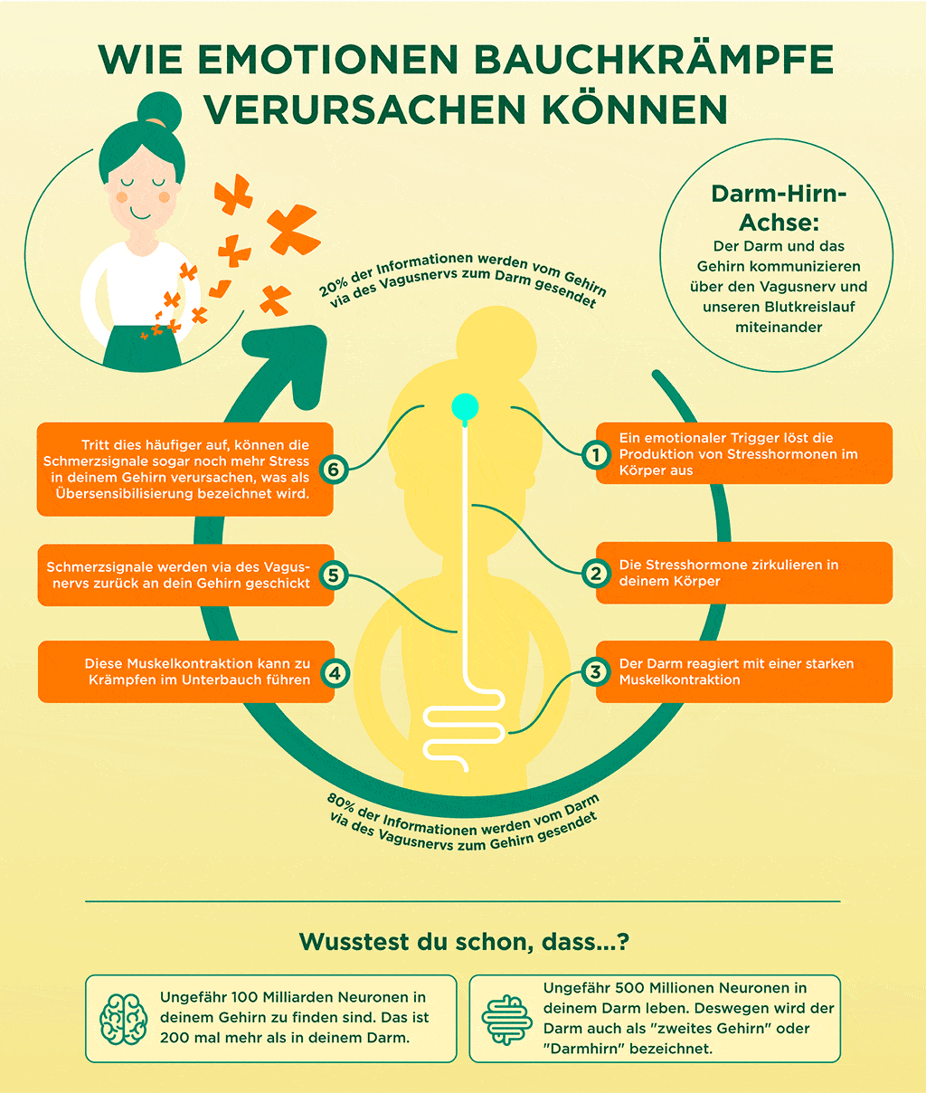 Entlang der Darm-Hirn-Achse werden Signale gesendet. So lösen Emotionen Bauchkrämpfe aus.